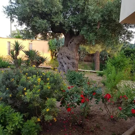 Degli Ulivi Villa