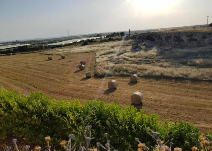 Degli Ulivi Grottaglie